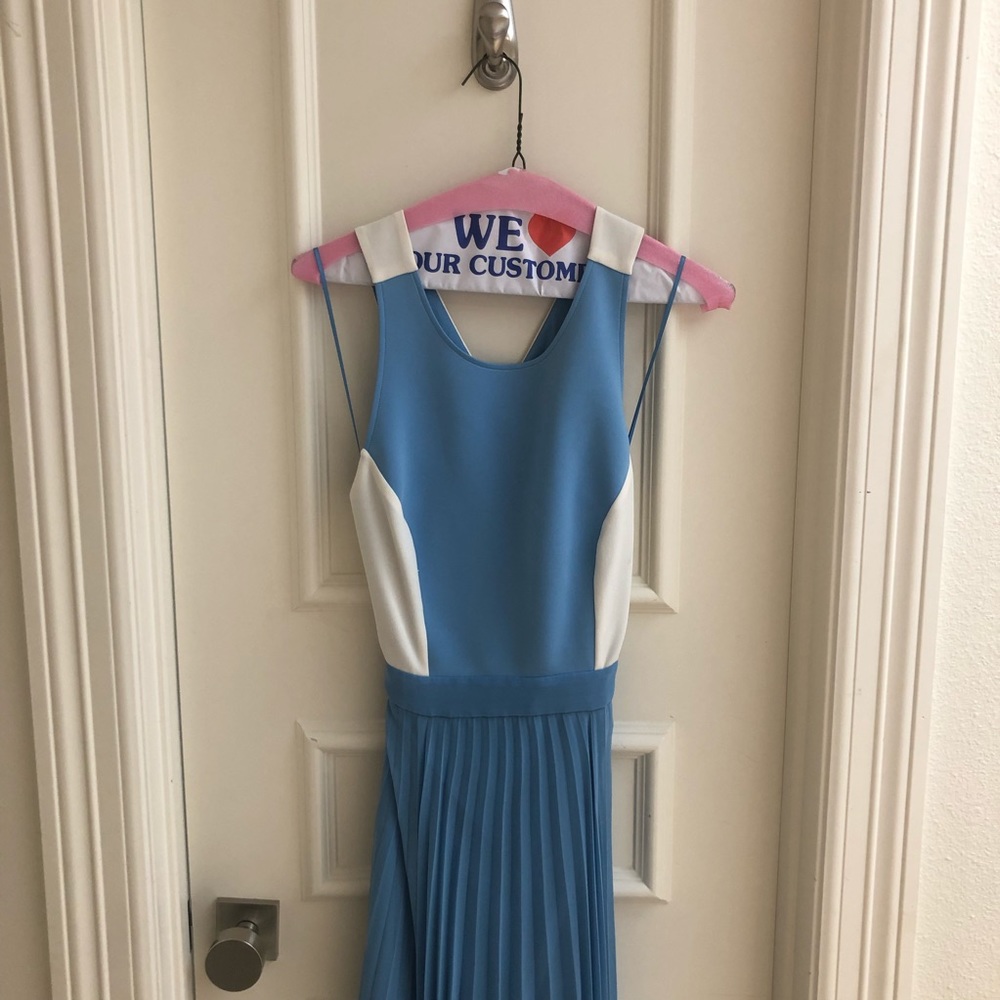 Sachs and Babi Blue and White Gown